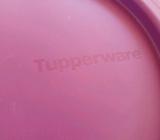 Tupperware purple steamer