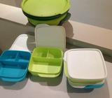 Tupperware divided square lunch boxes