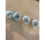 Japanese Pottery Cups