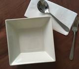 New Ceramic Square Pasta Bowl