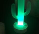 Small cactus light