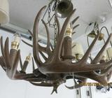 Pendant Light