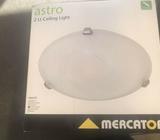 Ceiling light