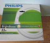 Philips 22W Cool White Circular Fluorescent Tube