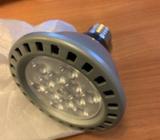 Phillips led bulbs /globes x 2 94 x92 mm