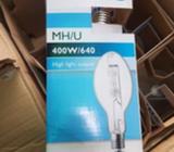 Philips 400w Mercury Halide Globes
