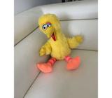 Big Bird
