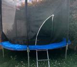 Plum trampoline