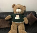 New giant bear plushy doll