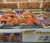 Might Max Skull Mountain