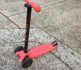 Wanted: Maxi micro scooter