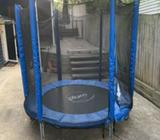 Plum Trampoline