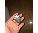 Rock pet Roxy looking for a new home!