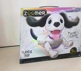 New Zoomer Playful Pup