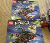 LEGO Ninjago Robin REX