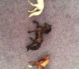 Breyer stablemates
