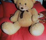 Eddie the (huge) Teddy