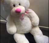 Big Teddy brand new