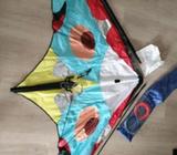 Kite with dual lines