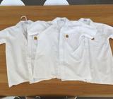 PAC School Uniform Senior shirts - Size 8