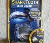 National geographic shark tooth dig kit