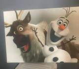 Disney frozen wall canvas