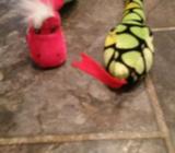 Snakes $5 for the two