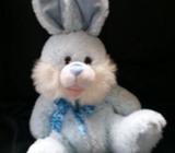 Blue bunny