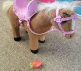 Baby born horse