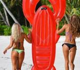 Sunnylife Inflatable Lobster Lux Lie-On Gold Label 40% off NOW