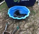 Clam Shell Kids Sand Pit / Paddle Pool