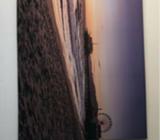 Massive beach canvas