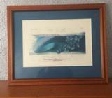 Champions of World Surfing