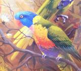 Beautiful framed Lorikeets